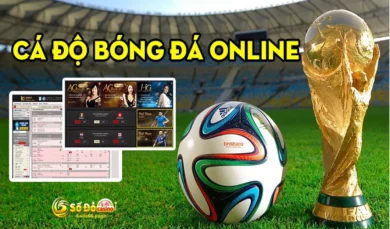 Cá độ bóng đá online tại nhà cái Sodo66 và chi tiết các bước tham gia chuẩn